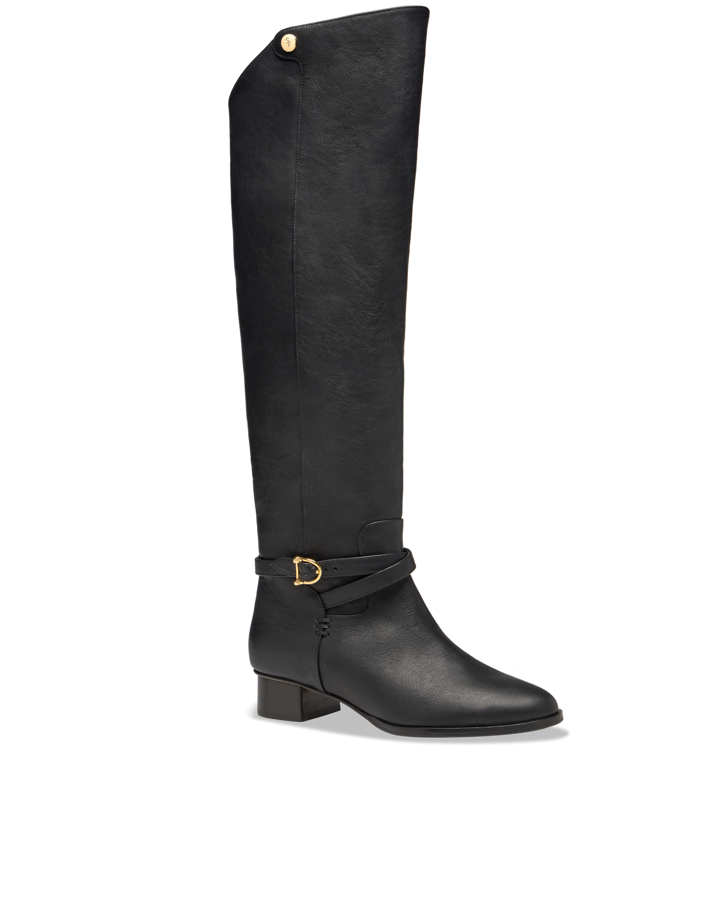 Sarah Flint X Mary Orton Perfect Tall Riding Boot in Black Vachetta