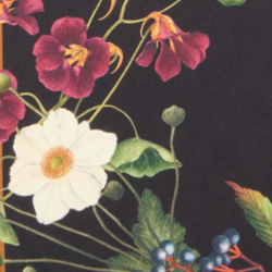 Sarah Flint x Mary Orton Bordeaux Floral Scarf 90