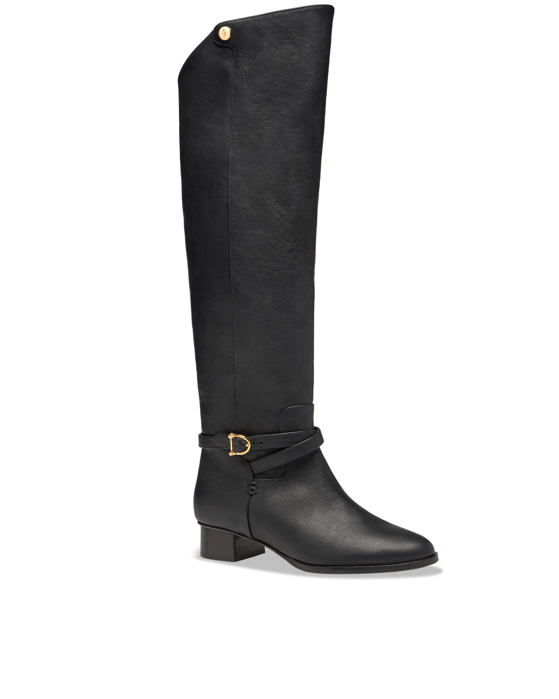 Sarah Flint X Mary Orton Perfect Tall Riding Boot in Black Vachetta
